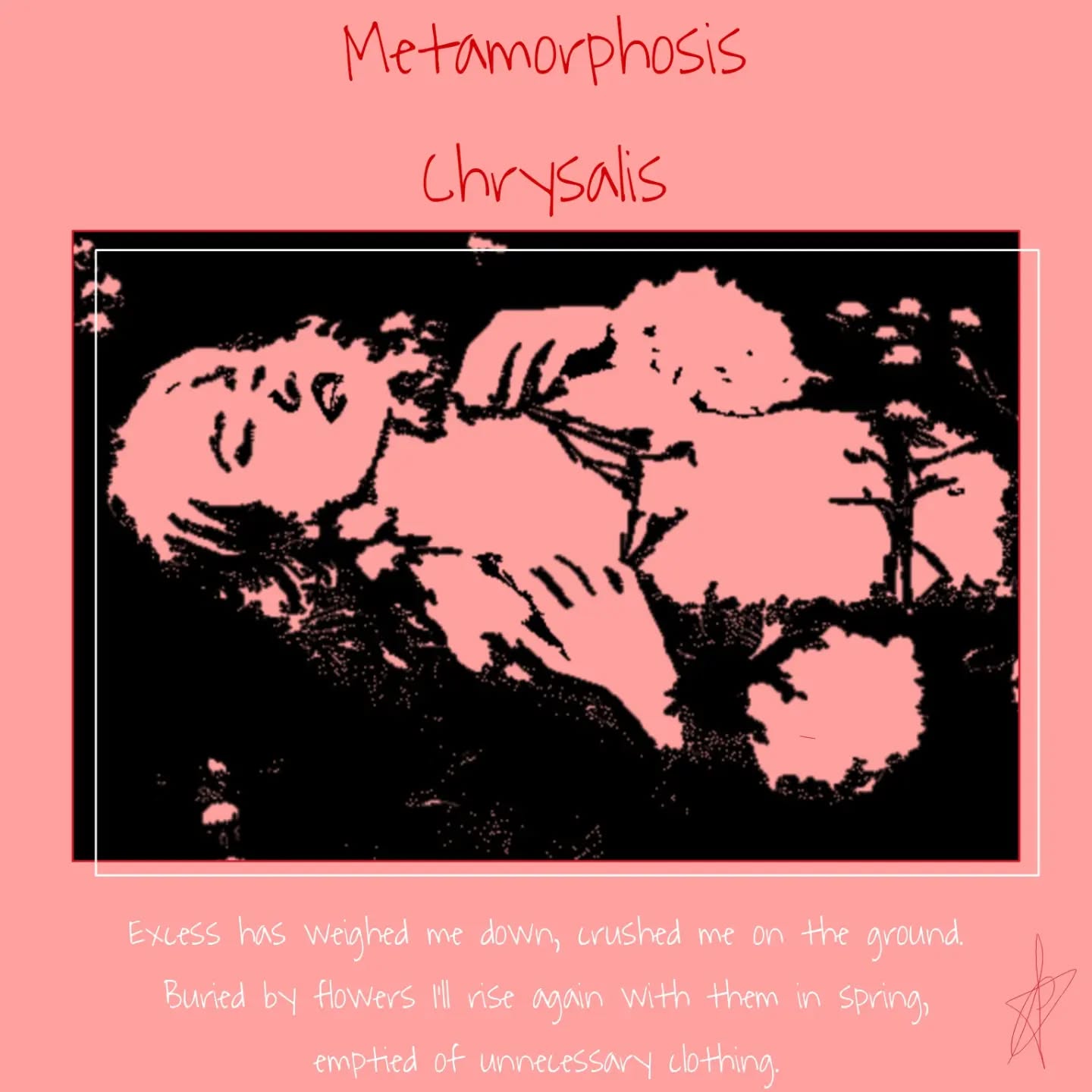 340995559_890648548688885_5677408122201132374_n_18244299250086360