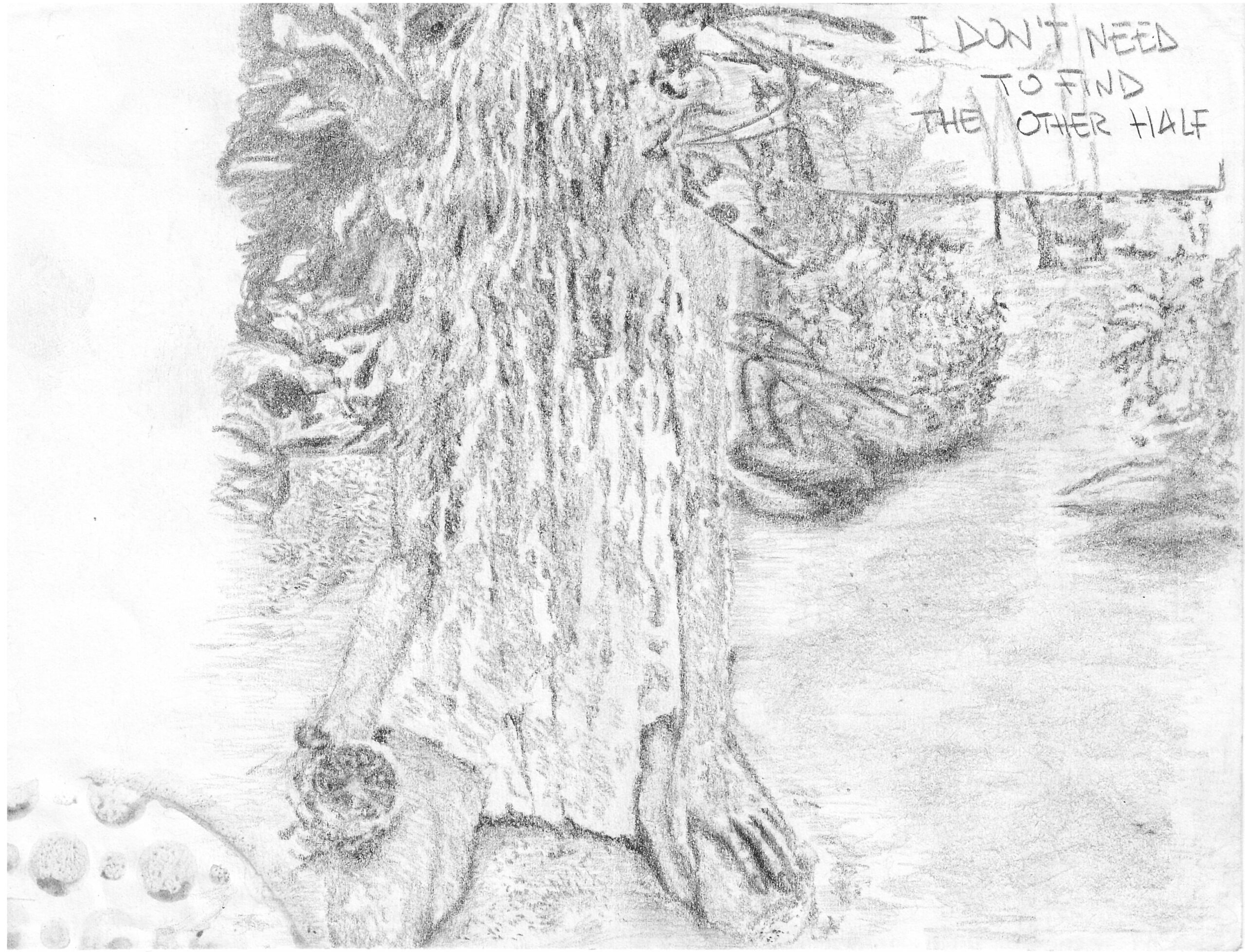Document_250402_172820 Kopie