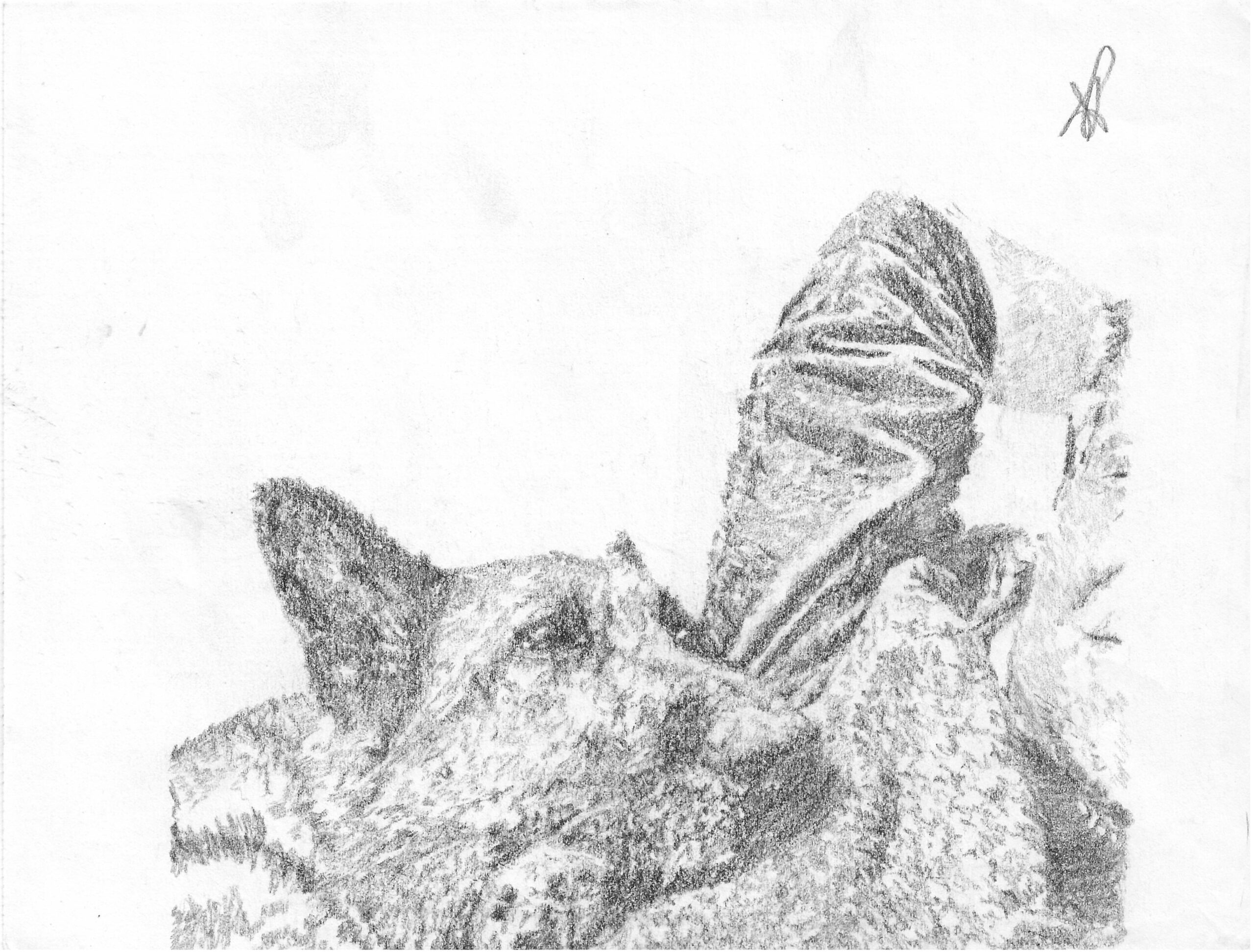Document_250402_173348 Kopie